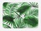 Ambesonne Palm Leaf Bath Mat, Realistic Vivid Leaves of Palm Tree Growth Ecology Lush Botany Themed Print, Plush Bathroom Decor Mat with Non Slip Backing, 29.5" X 17.5", Fern Green